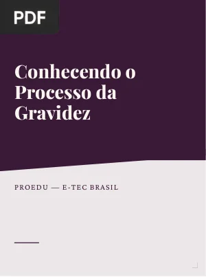 Conhecendo o Processo da Gravidez