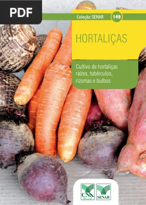 Cultivo de Hortaliças Raízes, Tubérculos, Rizomas e Bulbos