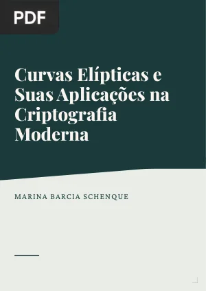 Curvas Elípticas e Suas Aplicações na Criptografia Moderna