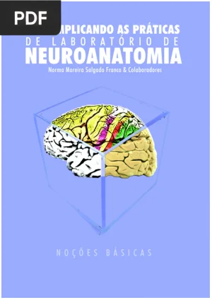Descomplicando as Práticas de Laboratório de Neuroanatomia: Noções Básicas