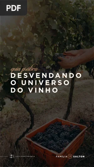 Desvendando o Universo do Vinho: Guia Prático