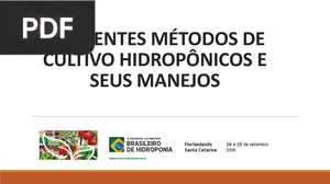 Diferentes métodos de cultivo hidropônico e seus manejos (Apresentação)