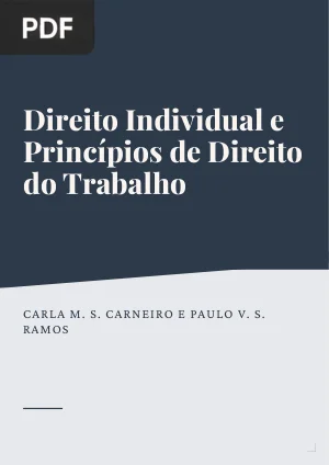 Direito Individual e Princípios de Direito do Trabalho