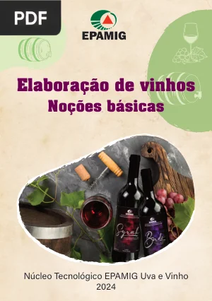 Elaboração de Vinhos: Noções Básicas