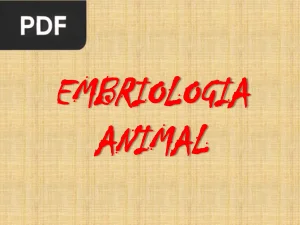 Embriologia Animal