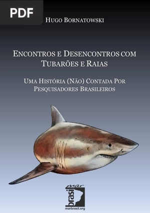Encontros e Desencontros com Tubarões e Raias