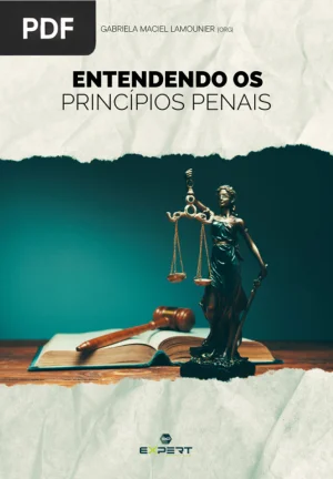 Entendendo os Princípios Penais