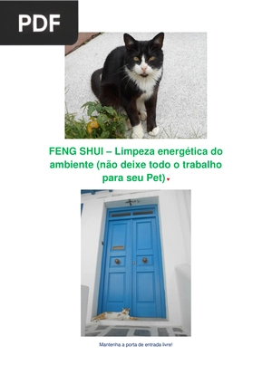 Feng Shu– Limpeza energética do ambiente (não deixe todo o trabalho para seu Pet)