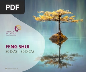Feng Shui 30 dias