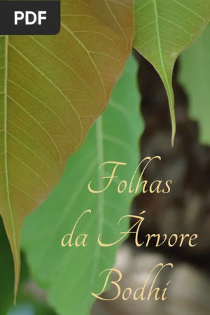 Folhas da Árvore Bodhi