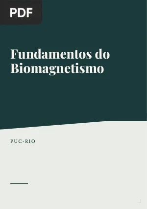 Fundamentos do Biomagnetismo