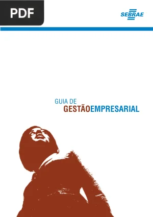 Gestão Empresarial para PMEs