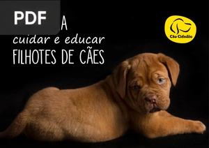 Guia para Cuidar e Educar Filhotes de Cães (Apresentação)