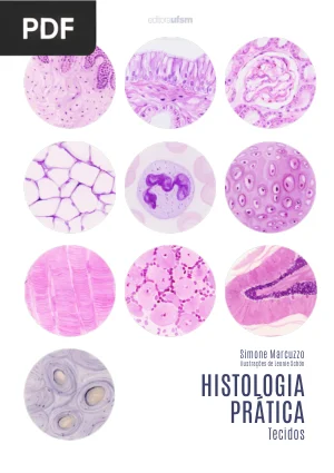Histologia Prática: Tecidos