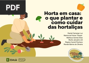 Horta em Casa - O que plantar e como cuidar das Hortaliças