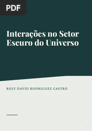Interações no Setor Escuro do Universo