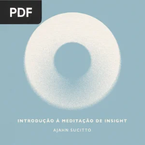 Introdução à Meditação de Insight