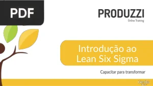 Introdução ao Lean Six Sigma