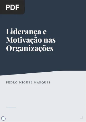 Liderança e Motivação nas Organizações