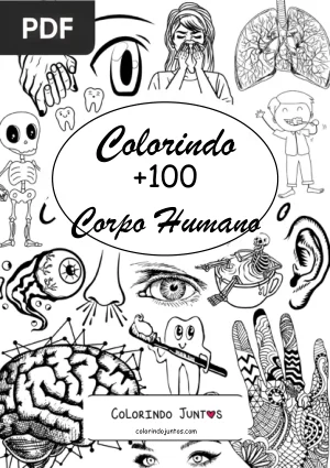 Livro do Corpo Humano para Colorir