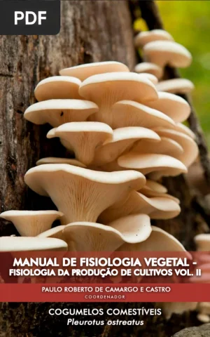 Manual de Fisiologia Vegetal: Fisiologia da Produção de Cultivos, Volume 2