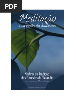 Meditação: O Coração do Budismo