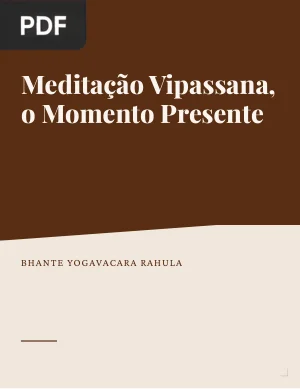 Meditação Vipassana, o Momento Presente