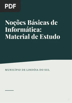 Noções Básicas de Informática: Material de Estudo