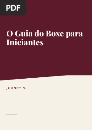 O Guia Do Boxe para Iniciantes