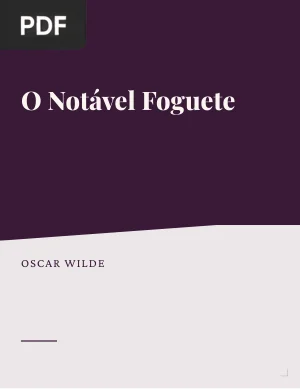 O Notável Foguete