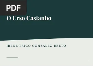 O Urso Castanho