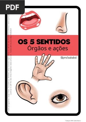 Os 5 Sentidos: Órgãos e Ações