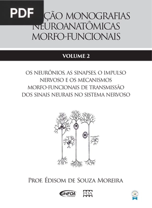 Os neurônios, as sinapses, o impulso nervoso e os mecanismos morfo-funcional de transmissão dos sinais neurais no sistema nervoso