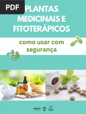 Plantas Medicinais e Fitoterápicos: Como Usar com Segurança