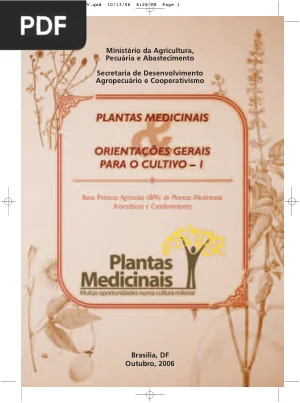 Plantas Medicinais: Muitas Oportunidades numa Cultura Milenar