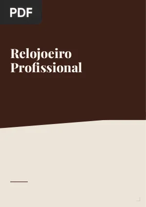 Relojoeiro Profissional