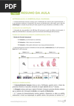 Resumo de Embriologia para Ensino Superior