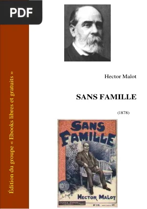 Sans Famille