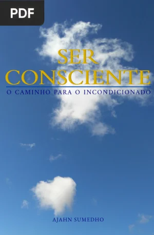 Ser Consciente: O Caminho para o Incondicionado