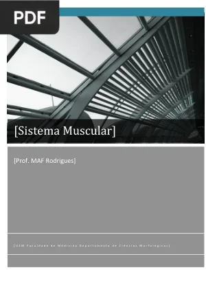 Sistema Muscular