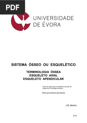 Sistema ósseo ou esquelético