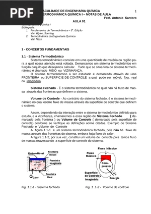 Termodinâmica Química I