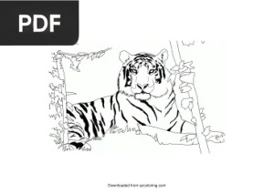 Tigre