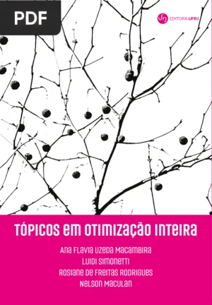 Tópicos em Otimização Inteira