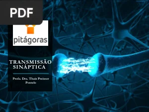 Transmissão Sináptica