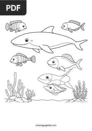 Tubarão e Peixes do Mar