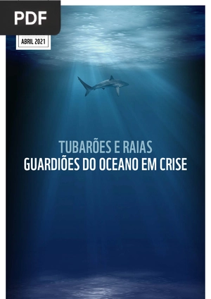 Tubarões e Raias - Guardiões do Oceano em Crise
