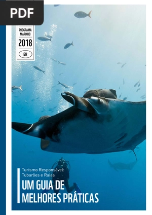 Tubarões e Raias - Um Guia de Melhores Práticas