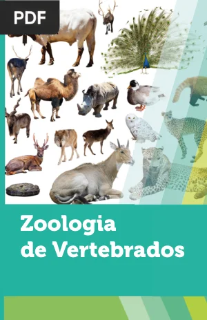 Zoologia de Vertebrados
